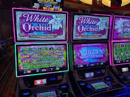togel 52 featured game showcase togel 52 featured game showcase